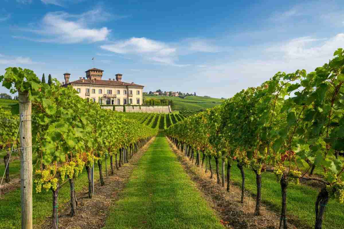 Castello Bonomi festeggia 40 anni con una degustazione itinerante da non perdere