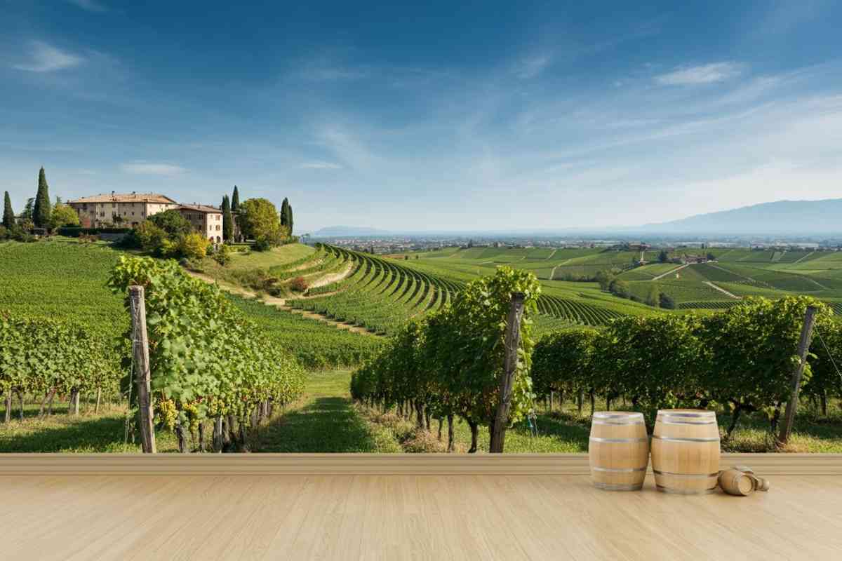 Col Vetoraz e Valdobbiadene DOCG: trionfi internazionali che sorprendono il mondo del vino