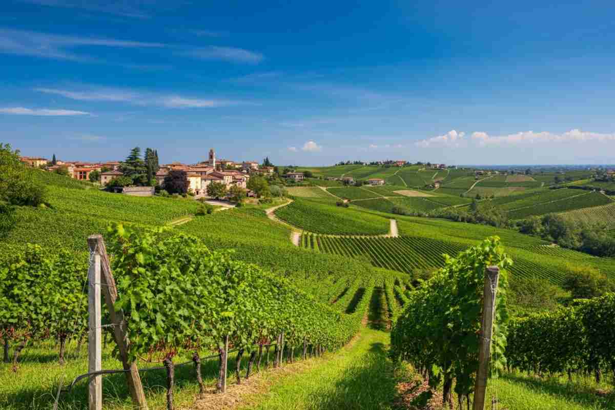 Colline del Prosecco Docg in corsa per diventare la “Città Italiana del Vino” 2026