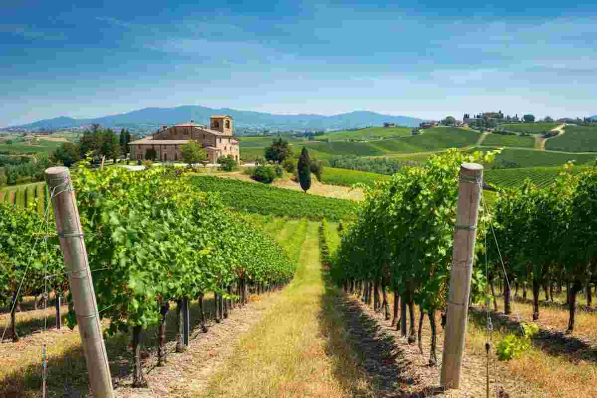 Come vendere meno e guadagnare di più: i segreti della semestrale 2025 di Italian Wine Brands