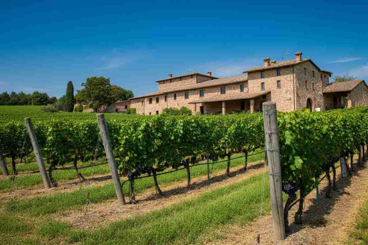 Enoturismo: scopri il fascino delle piccole aziende a conduzione familiare