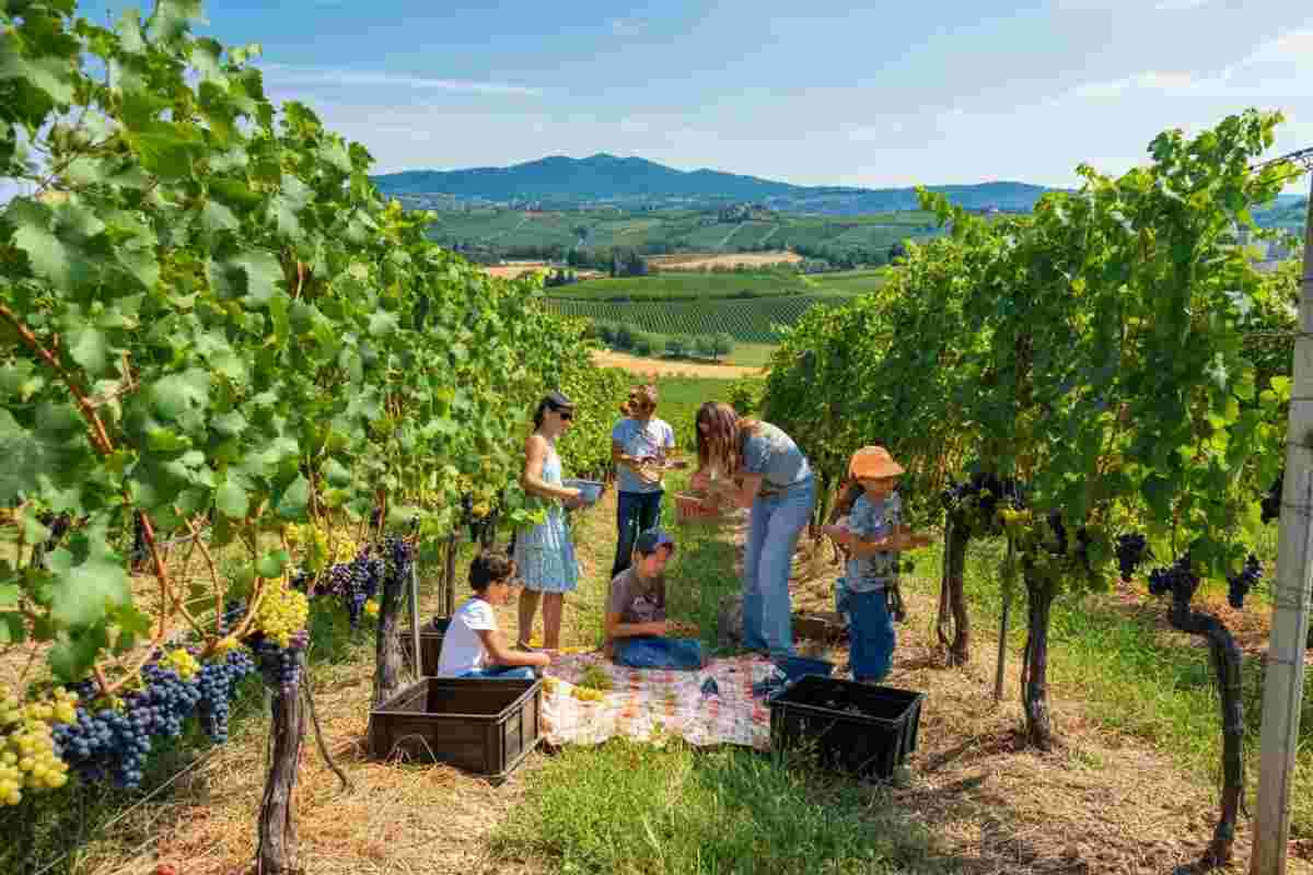 Esplora l'incanto dell'Umbria durante Cantine Aperte in Vendemmia