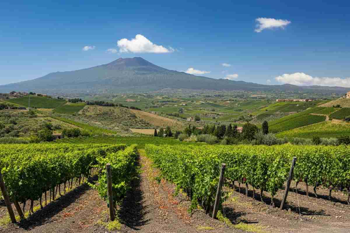Etna: il tesoro della denominazione siciliana si svela nei vini di qualità