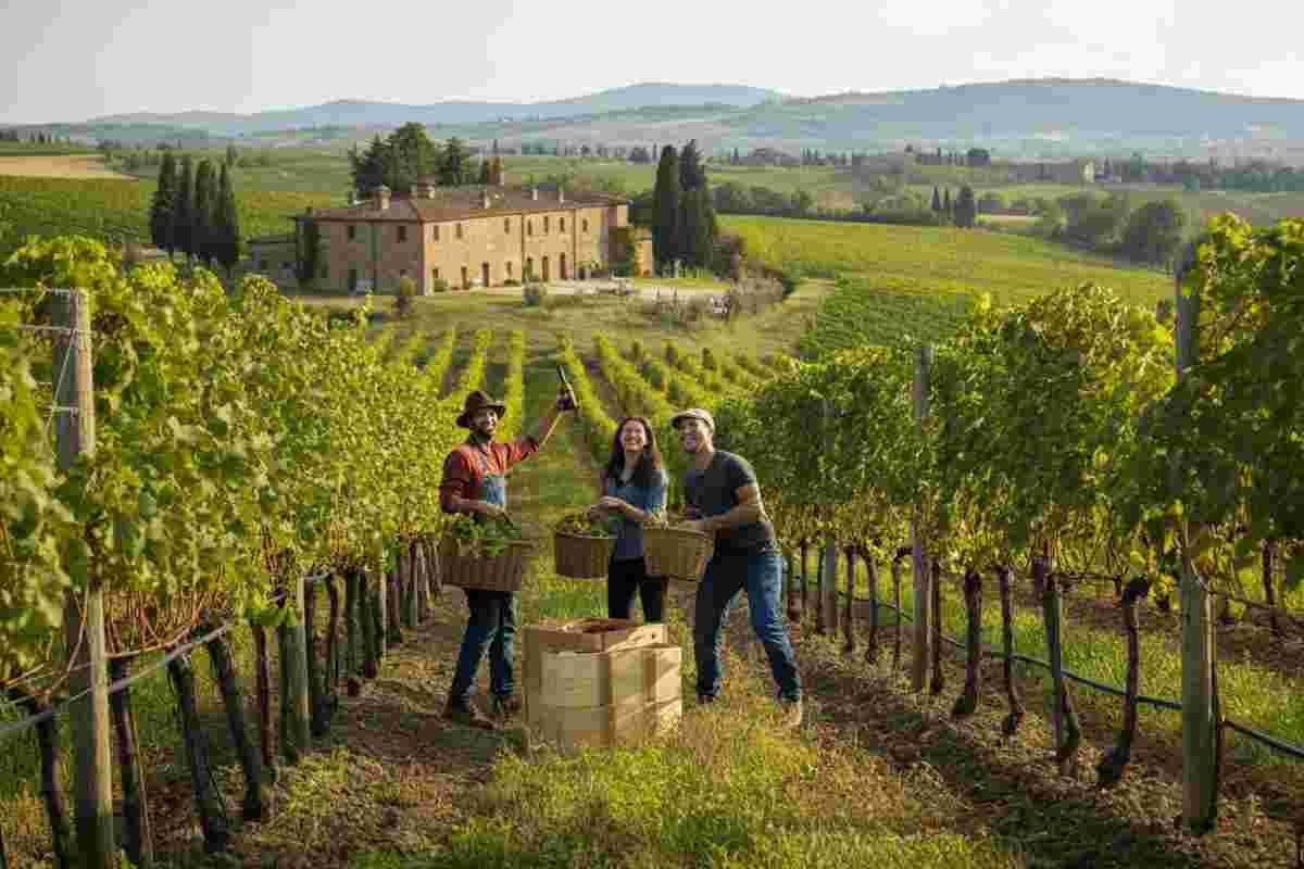 Fico compie 10 anni: il vino sostenibile di Filippo Corsini festeggia un decennio di successi