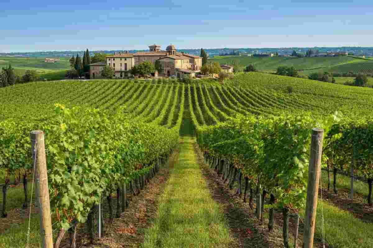 Francesca Marastoni alla guida commerciale di Cantina Valpolicella Negrar: una nuova era in arrivo