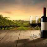 Giacomo Tachis e il suo capolavoro: il libro che ha rivoluzionato il vino
