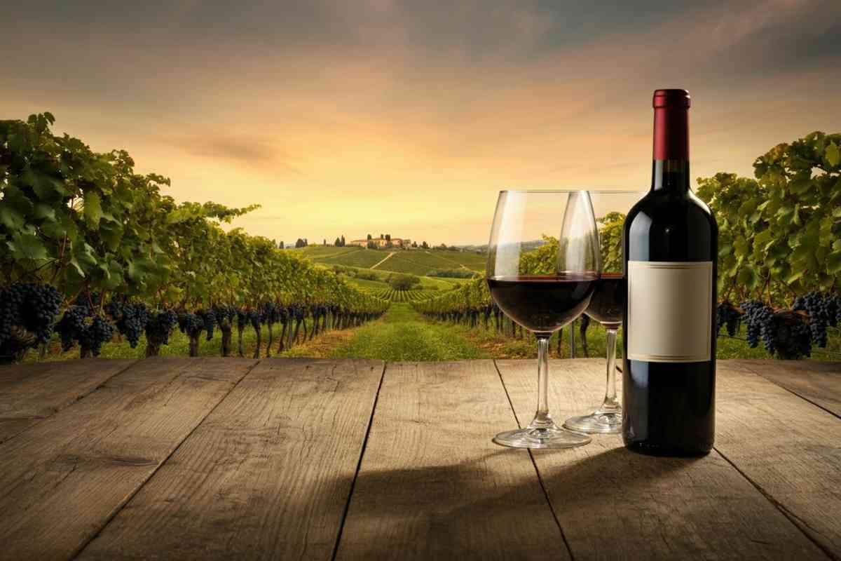 Giacomo Tachis e il suo capolavoro: il libro che ha rivoluzionato il vino