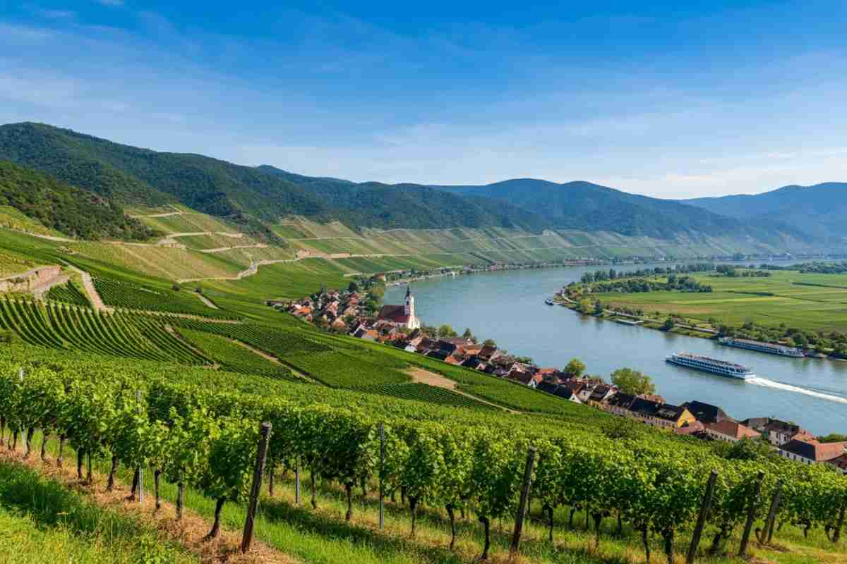Il Danubio: un viaggio tra fiumi e sapori di vino