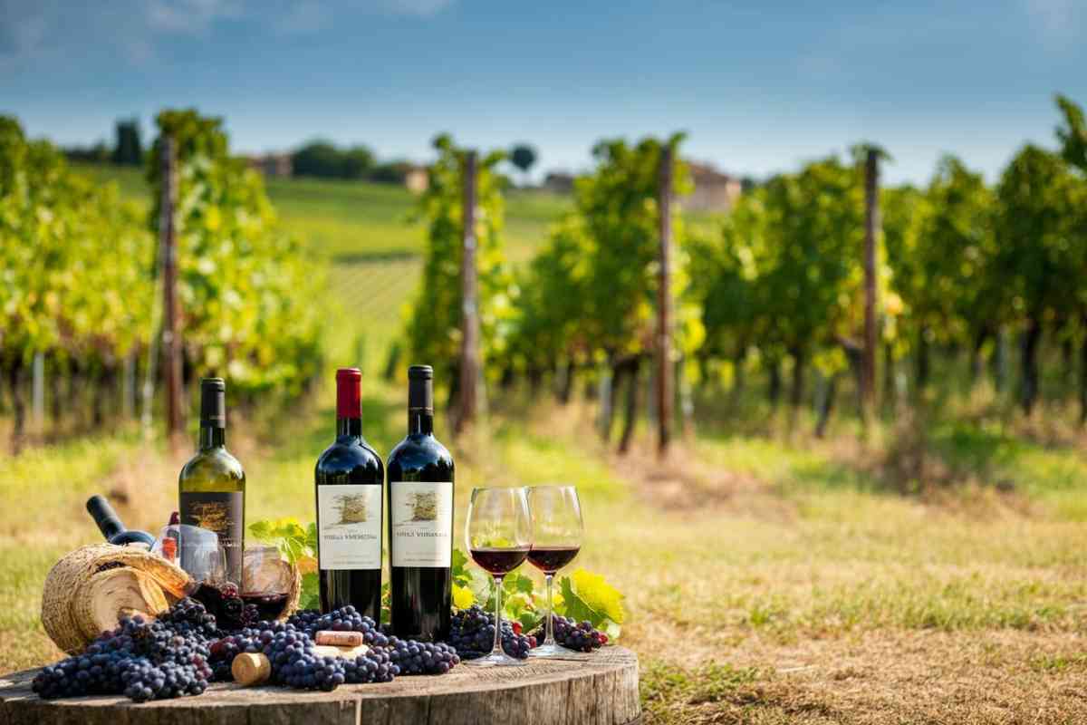 Il Merano Wine Festival si trasferisce a Villa Job: un nuovo palcoscenico per il vino di qualità