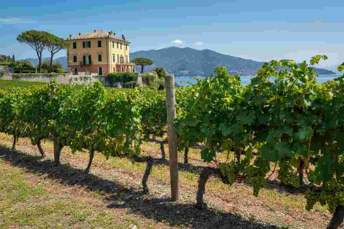 Ilaria Lorini trionfa al 10° Master del Vermentino AIS 2025 a Lerici