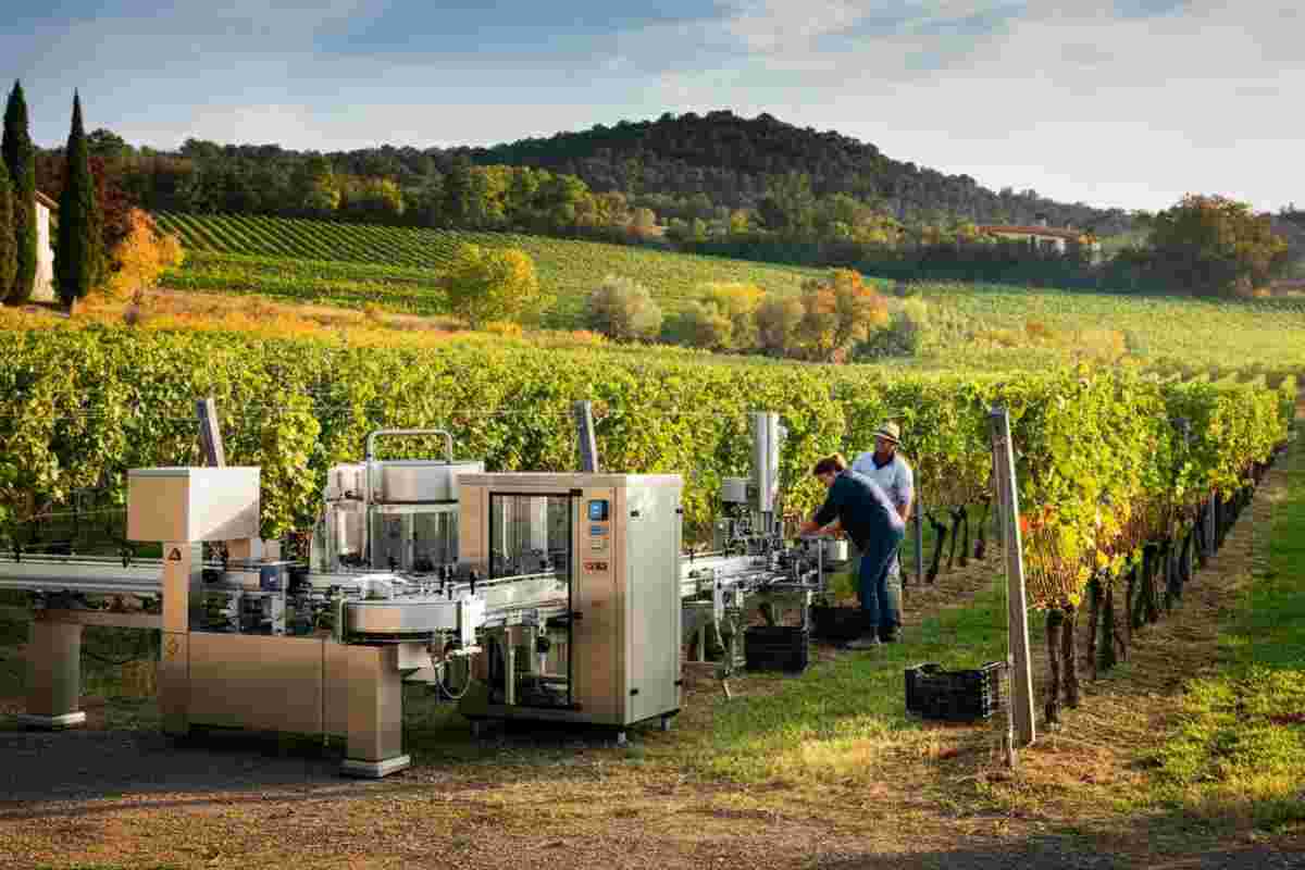 Innovazione e qualità: come Tradex rivoluziona l'automazione nella filiera vitivinicola