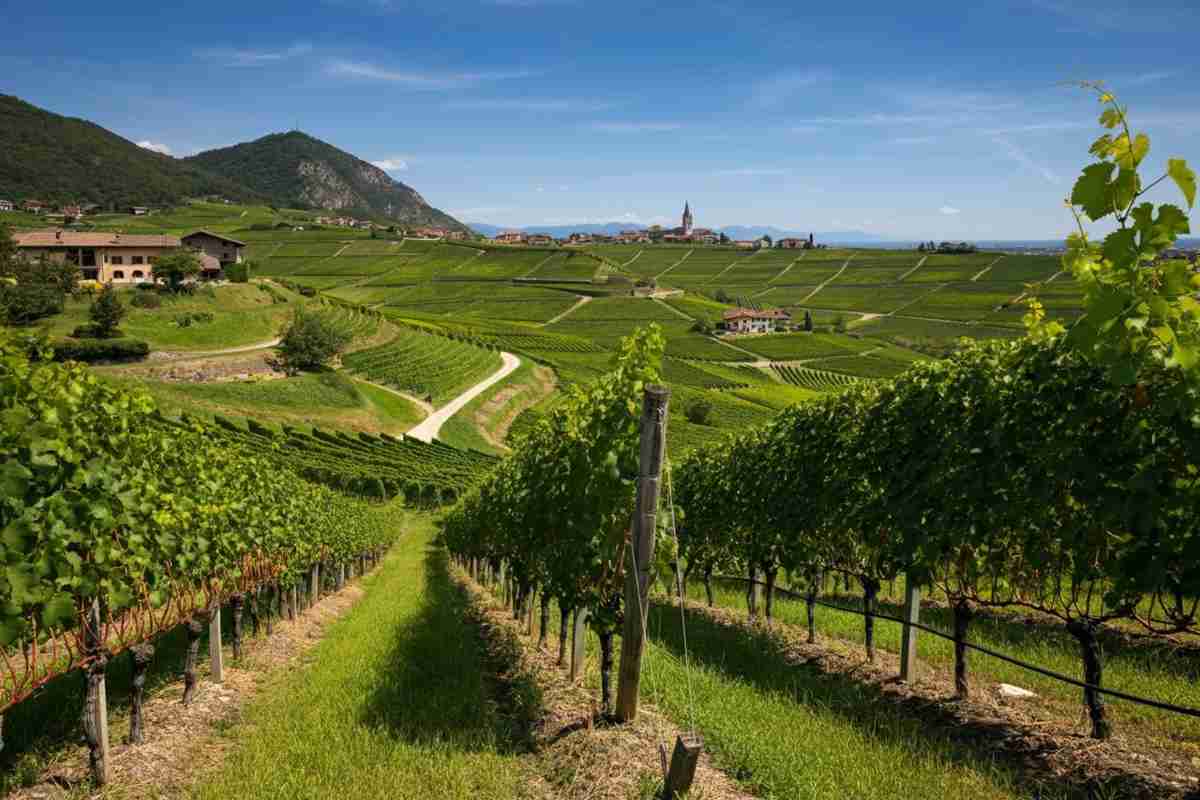 James Suckling riceve il premio speciale per la promozione della cultura del vino in Alto Adige