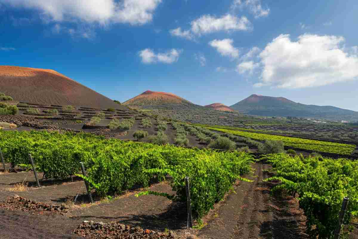 La magia della biodiversità: esplorando il versante sud dell'Etna