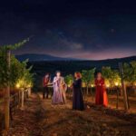 La magia della vendemmia notturna a Donnafugata con le orchestre invisibili