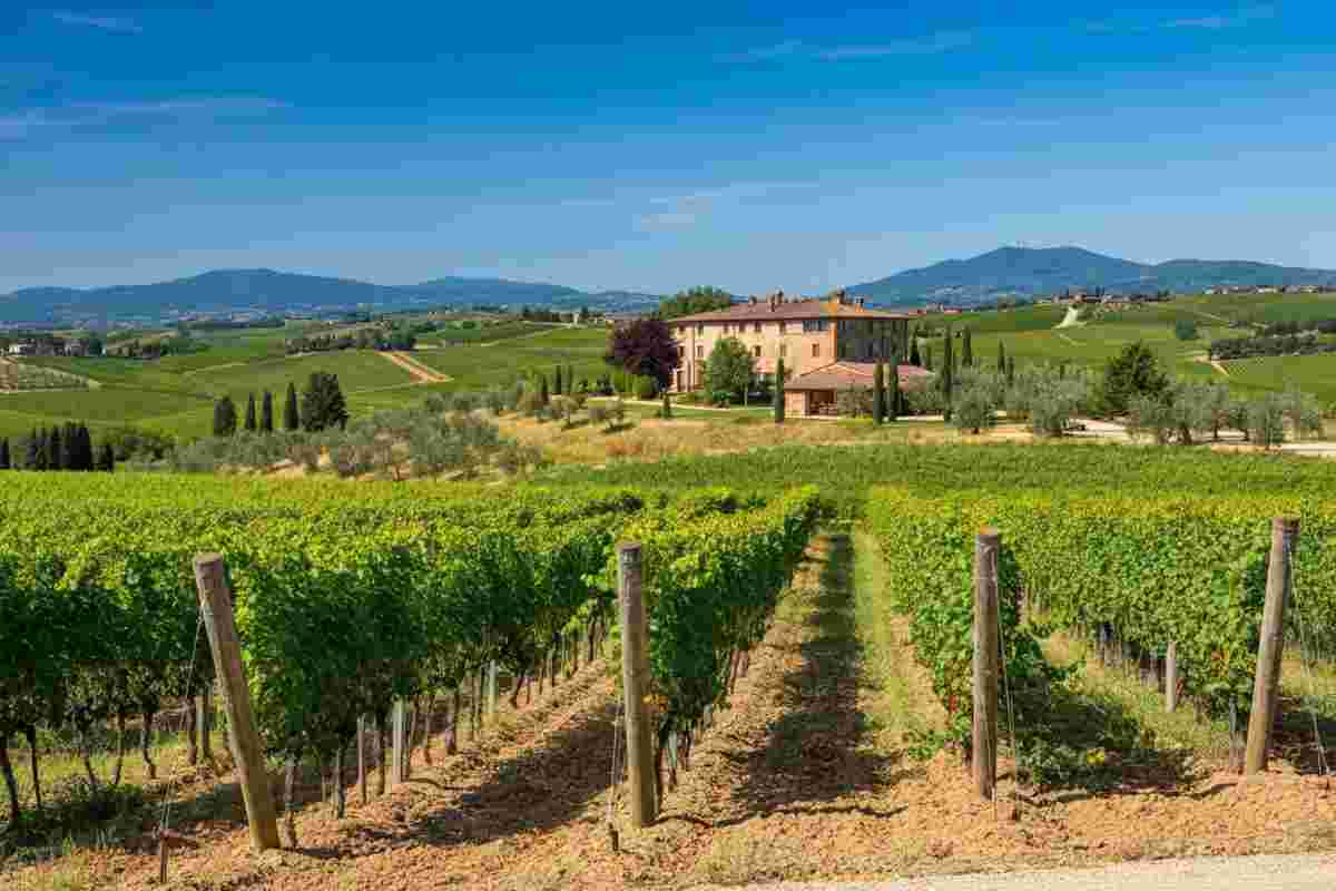 La rivoluzione del terroir: Vecchie Terre di Montefili si racconta