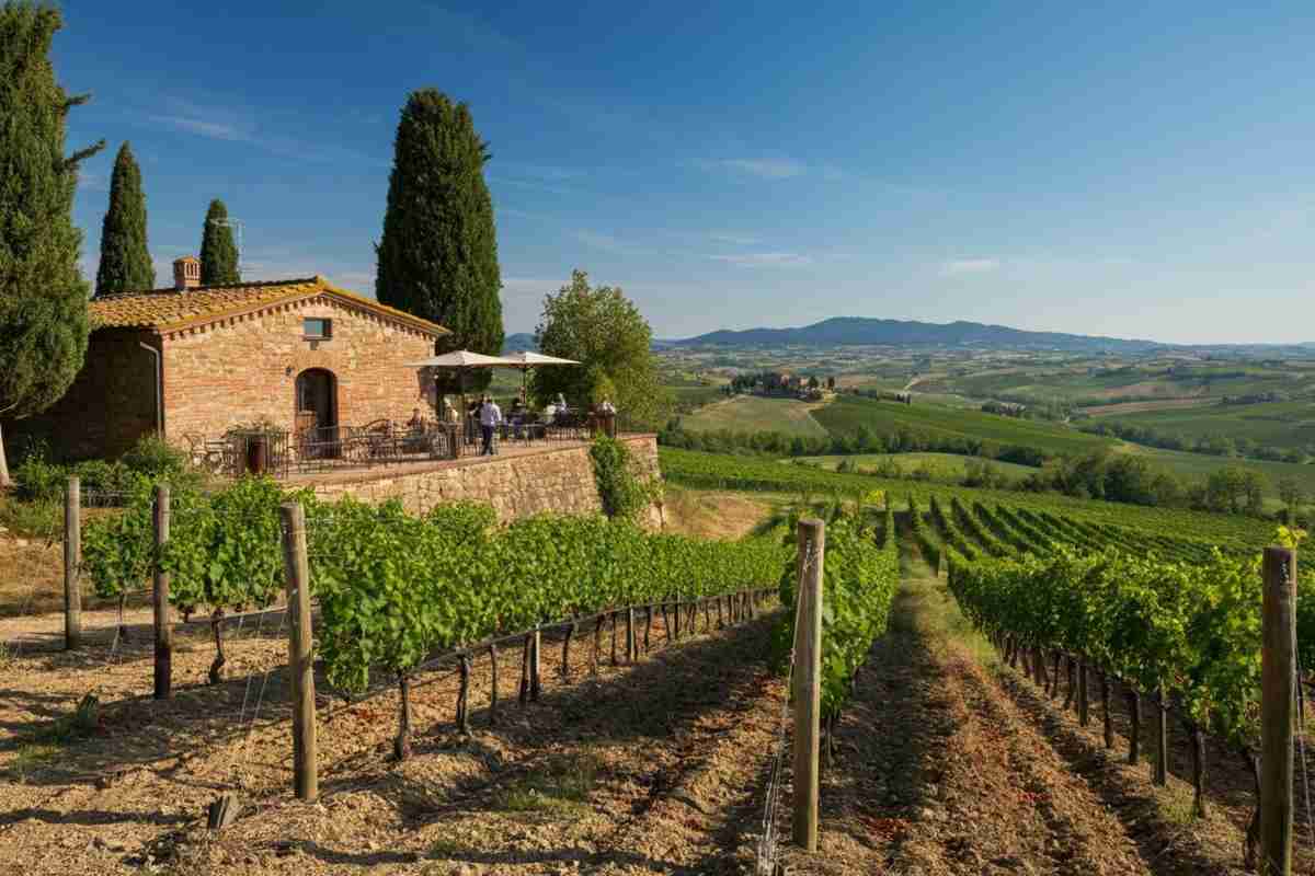 La rivoluzione del terroir: il segreto di Vecchie Terre di Montefili