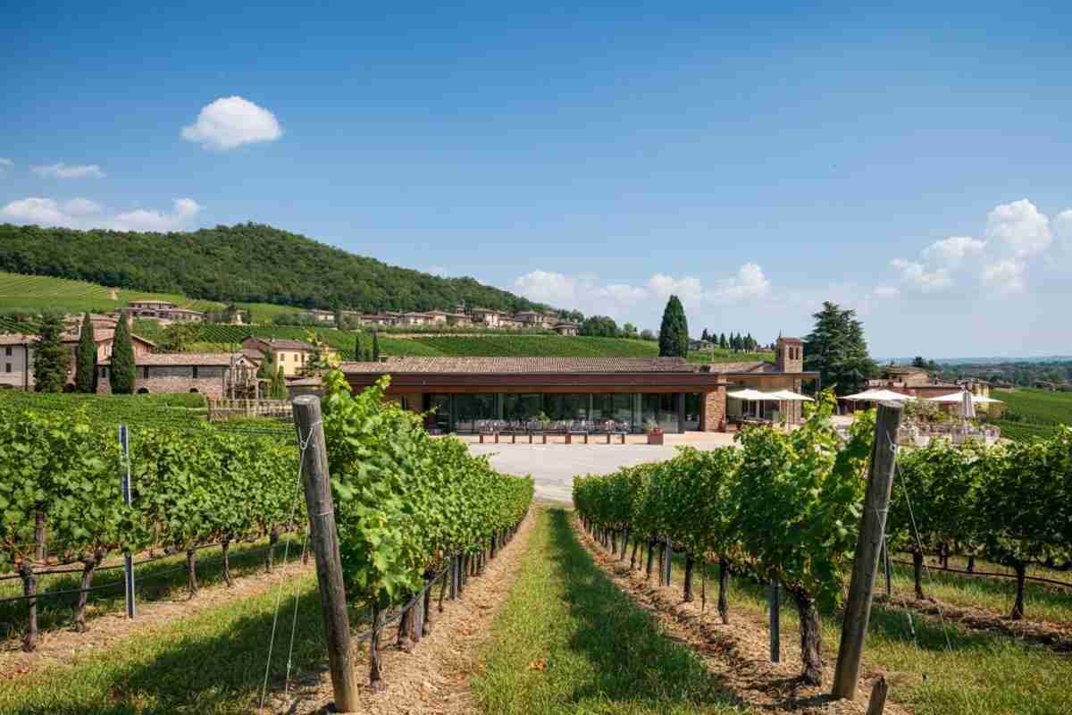 Masi Agricola ottiene 40 milioni di euro da un prestigioso pool di banche, con Unicredit in prima linea