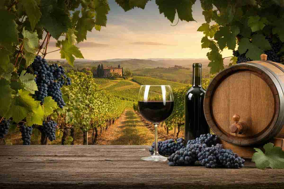 Mercosur: la sfida del Made in Italy tra apertura dei mercati e protezioni necessarie