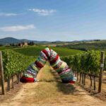 Monteverro presenta Little Big Braid: un viaggio artistico tra vino e creatività con Matteo Nasini