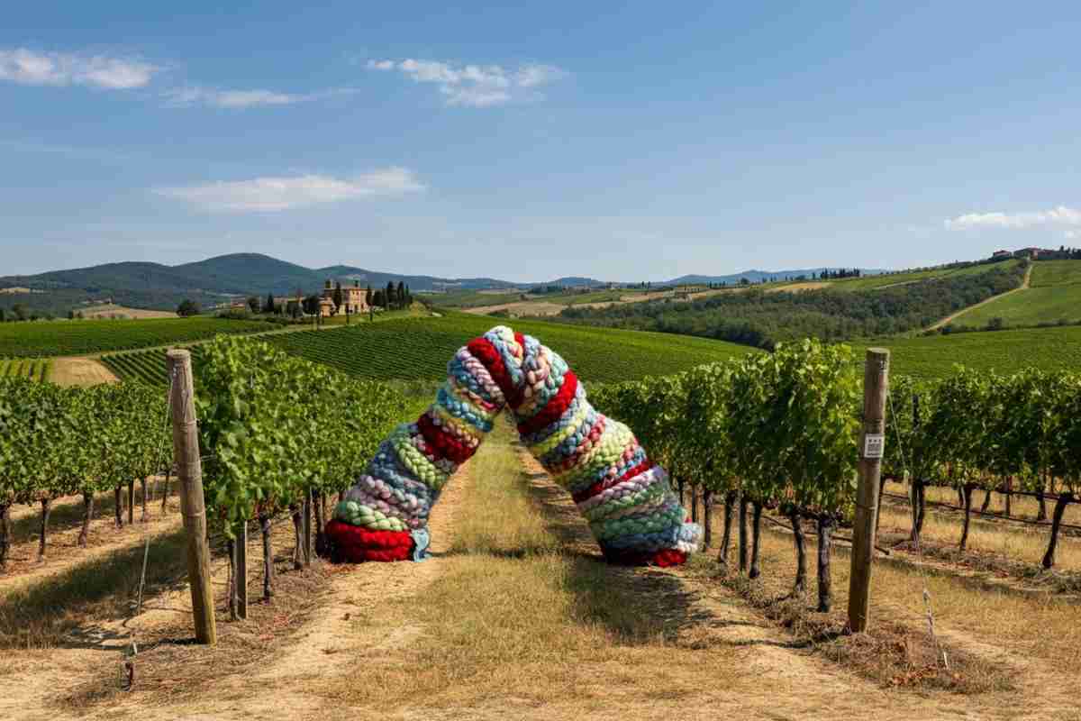 Monteverro presenta Little Big Braid: un viaggio artistico tra vino e creatività con Matteo Nasini