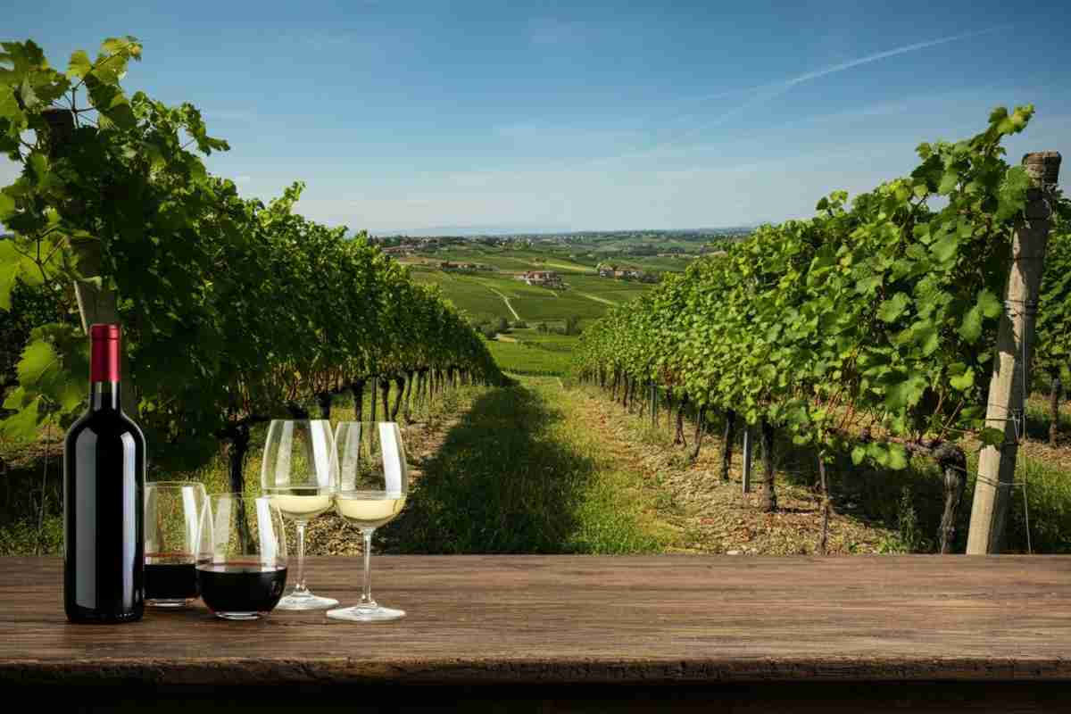 Pietro Toso: un'icona delle Cantine Toso ci lascia un'eredità indimenticabile