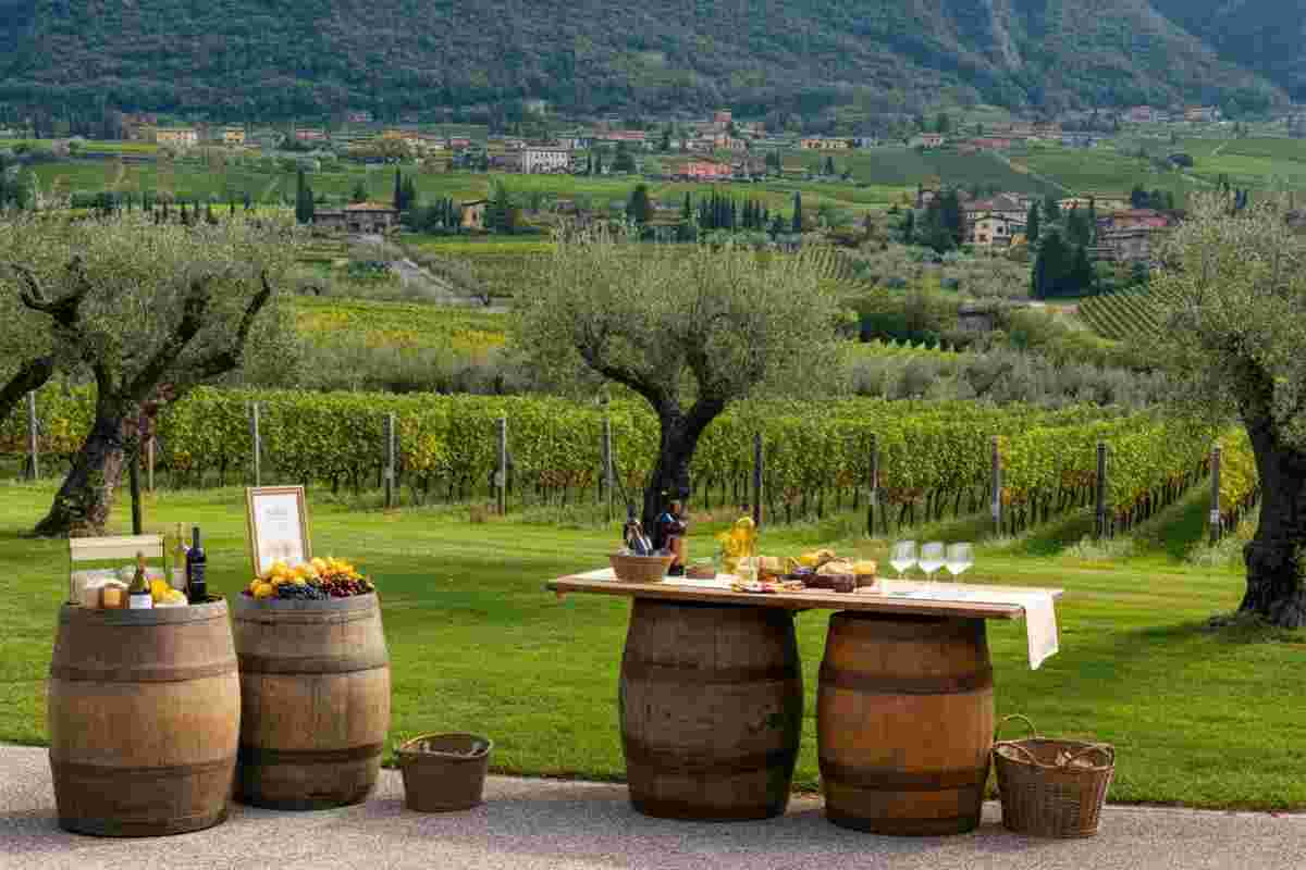 Profumi di Mosto 2025: un viaggio sensoriale tra vendemmia e vini della Valtènesi