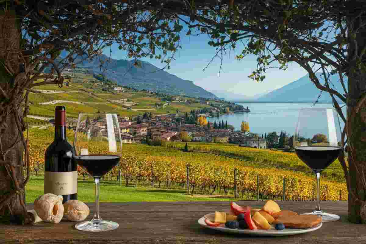 Profumi di Mosto 2025: un viaggio tra vendemmia e vini della Valtènesi