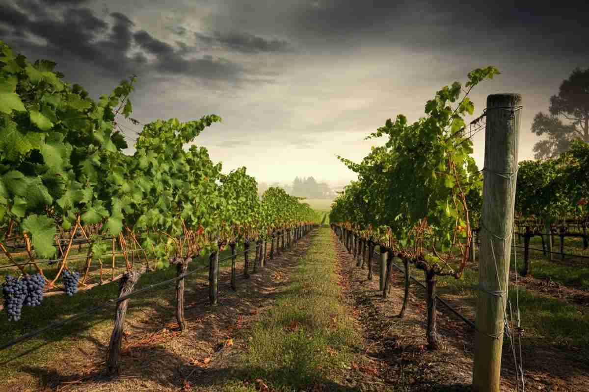 Quando il mondo diventa un grande villaggio globale