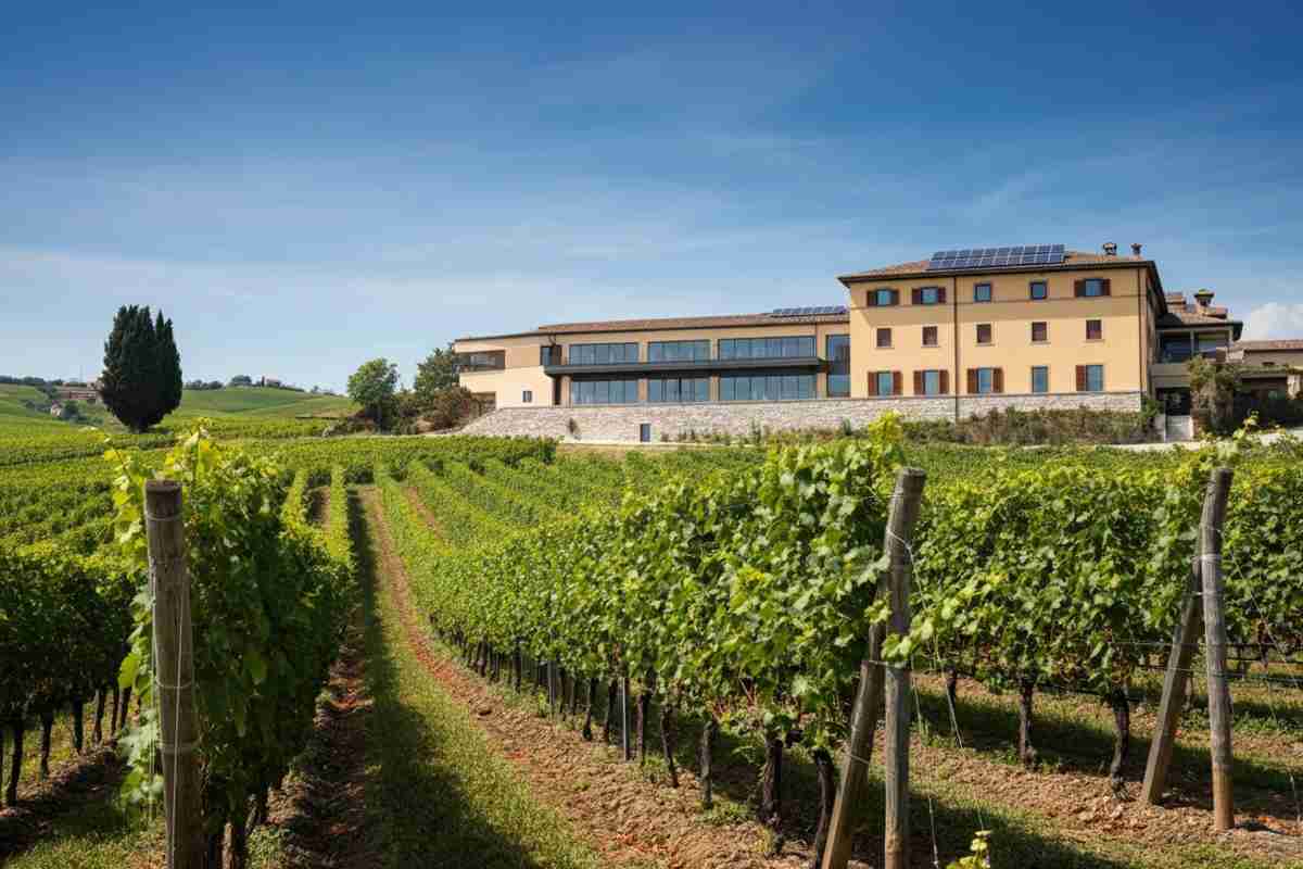 Raoul Bontempi investe nel futuro del vino: entra nel capitale di Montina Franciacorta