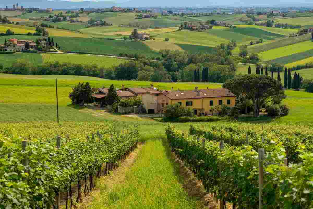 Riforma equa della PAC: la richiesta di Confeuro per le piccole imprese agricole europee