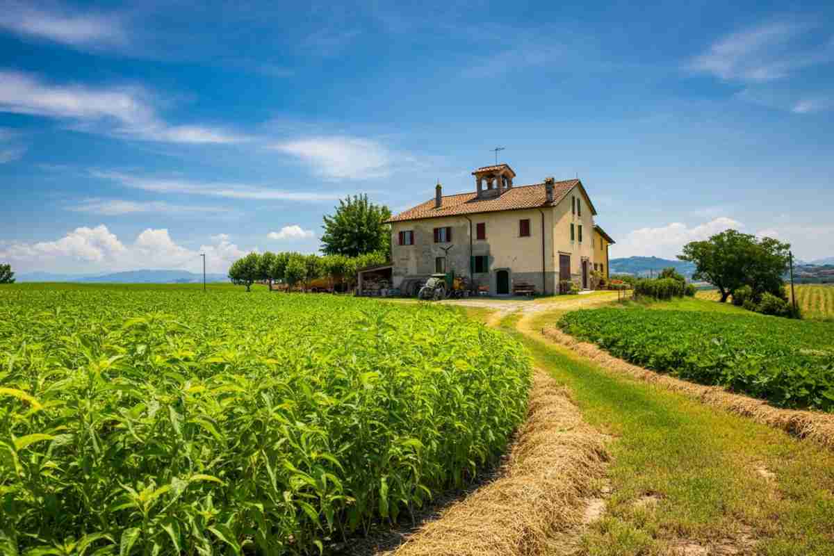 Riforma equa per il futuro delle piccole imprese agricole in Europa, secondo Confeuro