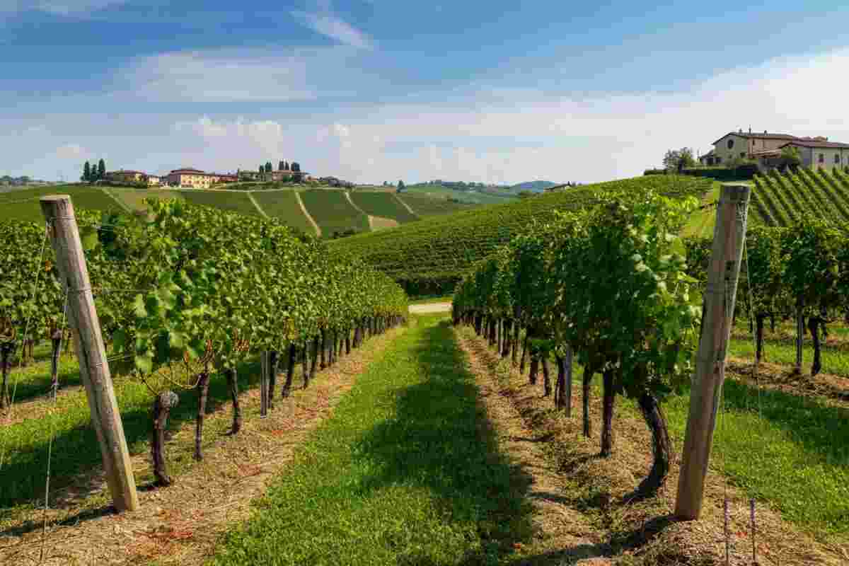 Scopri Poggio Ridente: l'eccellenza biologica della Riviera del Monferrato