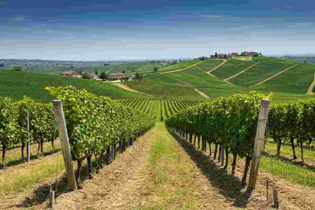 Scopri Poggio Ridente: un angolo di qualità biologica nella Riviera del Monferrato