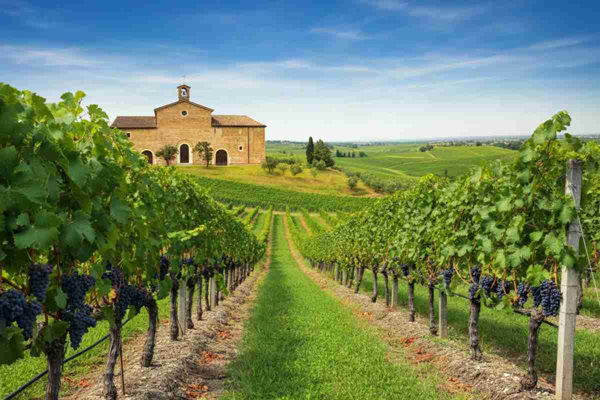 Scopri i sorprendenti risultati della sperimentazione sul Vin Santo di Gambellara