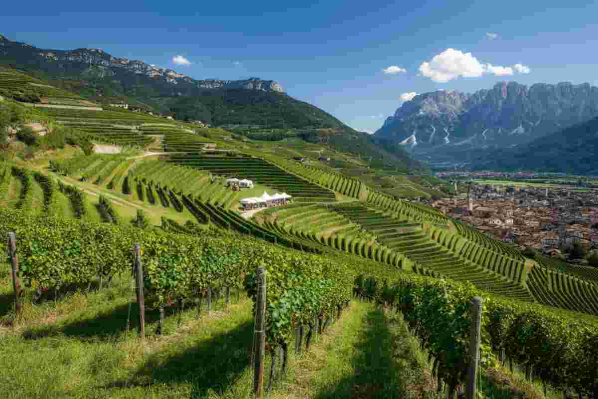 Scopri i vini verticali: DoloViniMiti 2025 nella suggestiva Valle di Cembra