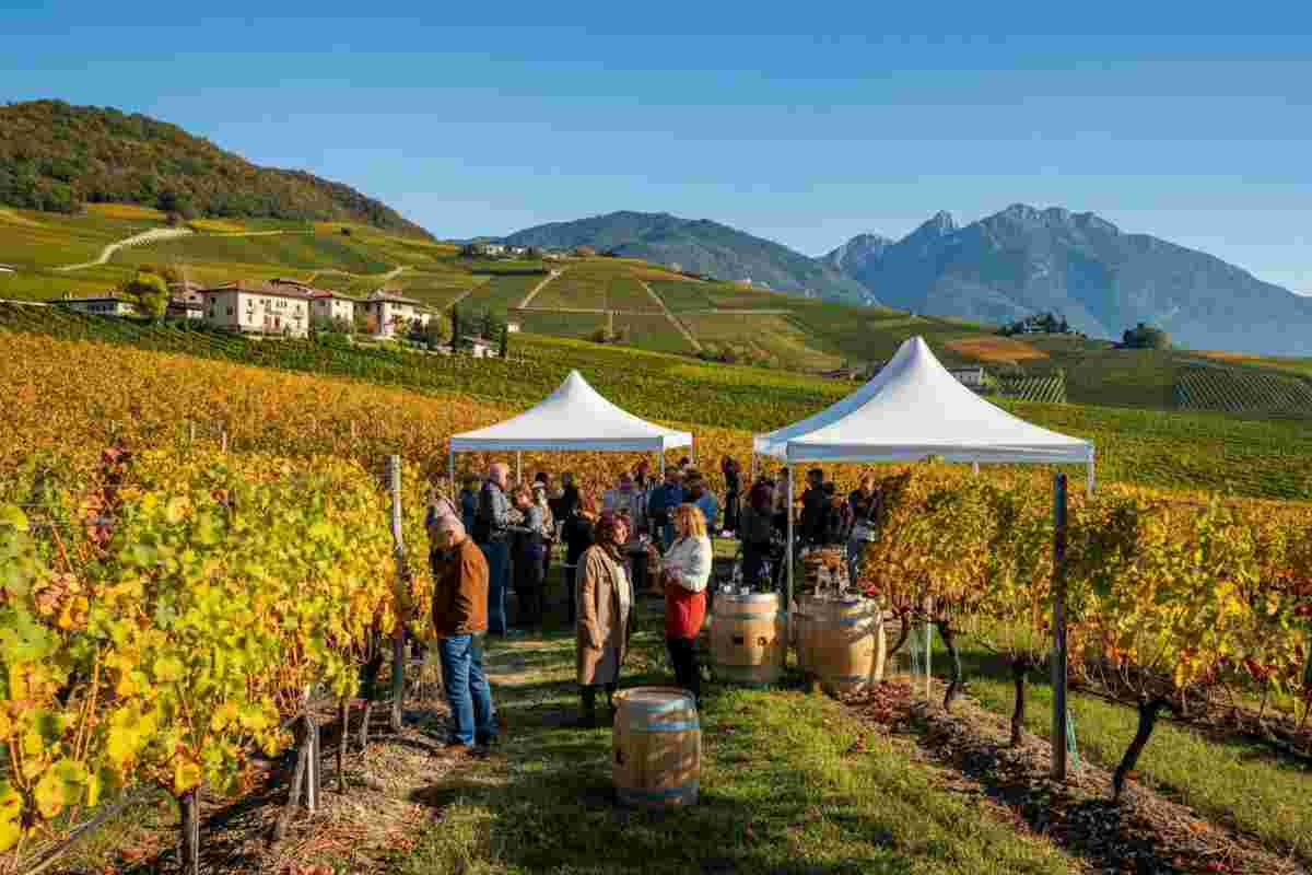 Scopri il Marzemino: il tesoro vitivinicolo della Vallagarina