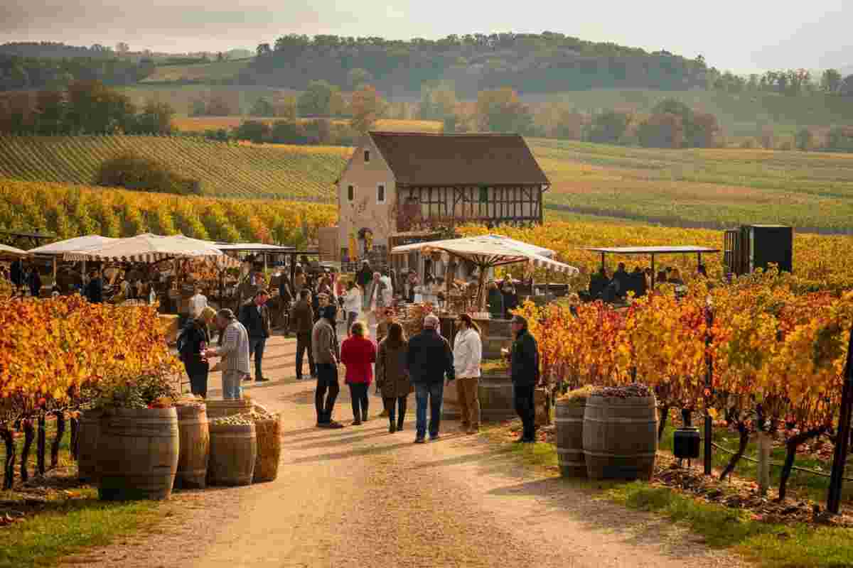 Scopri il Trentino: 20 anni di sapori, colori e avventure con DiVin Ottobre 2025