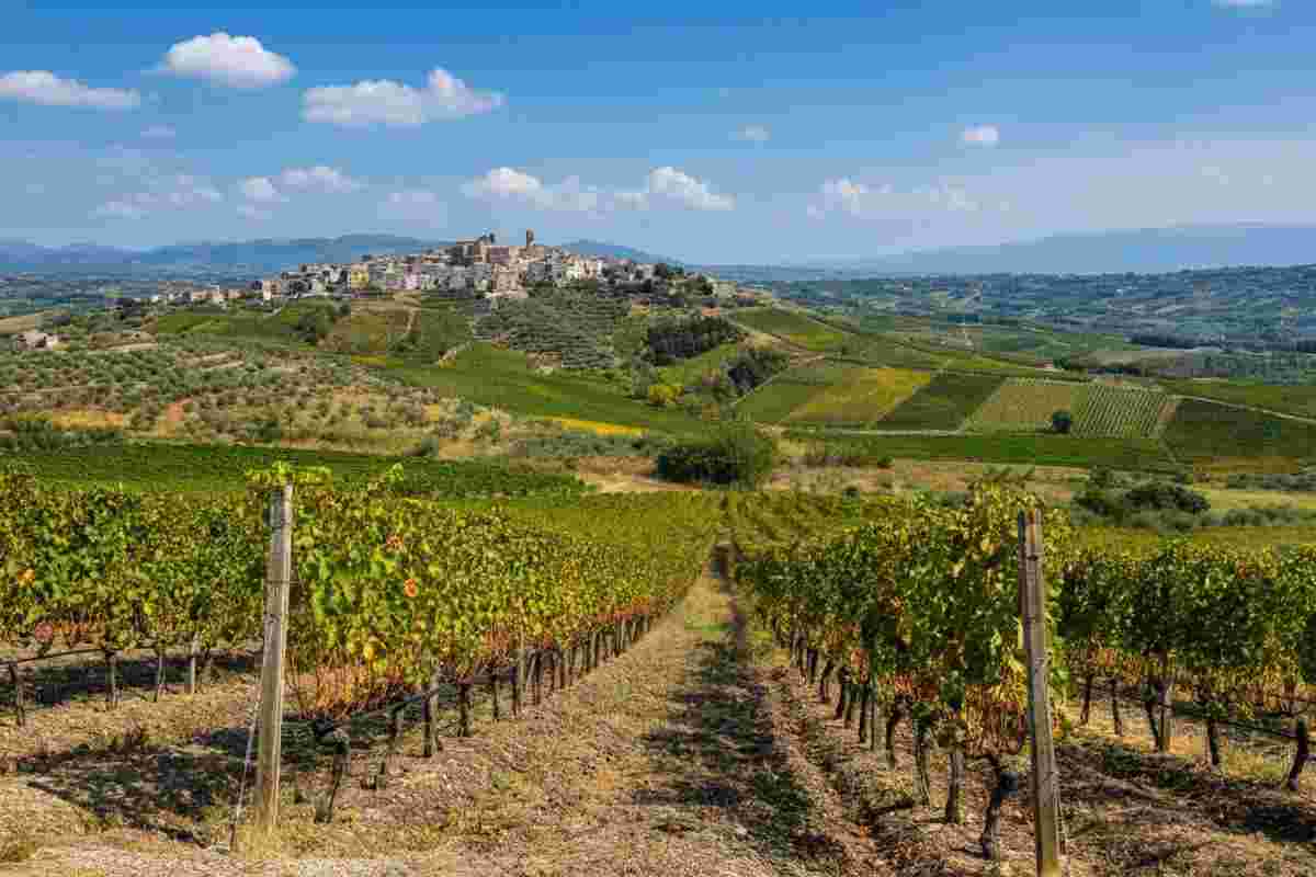 Scopri il Vulture: il segreto dell'Aglianico, il Barolo del Sud