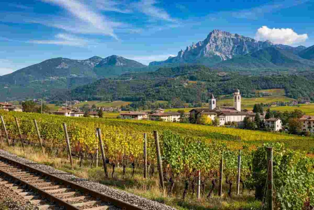 Scopri il viaggio sensoriale di Taste&Train nella Strada del Vino e dei Sapori del Trentino