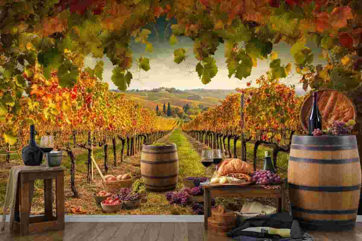 Scopri la magia della vendemmia con Cantine Aperte 2025