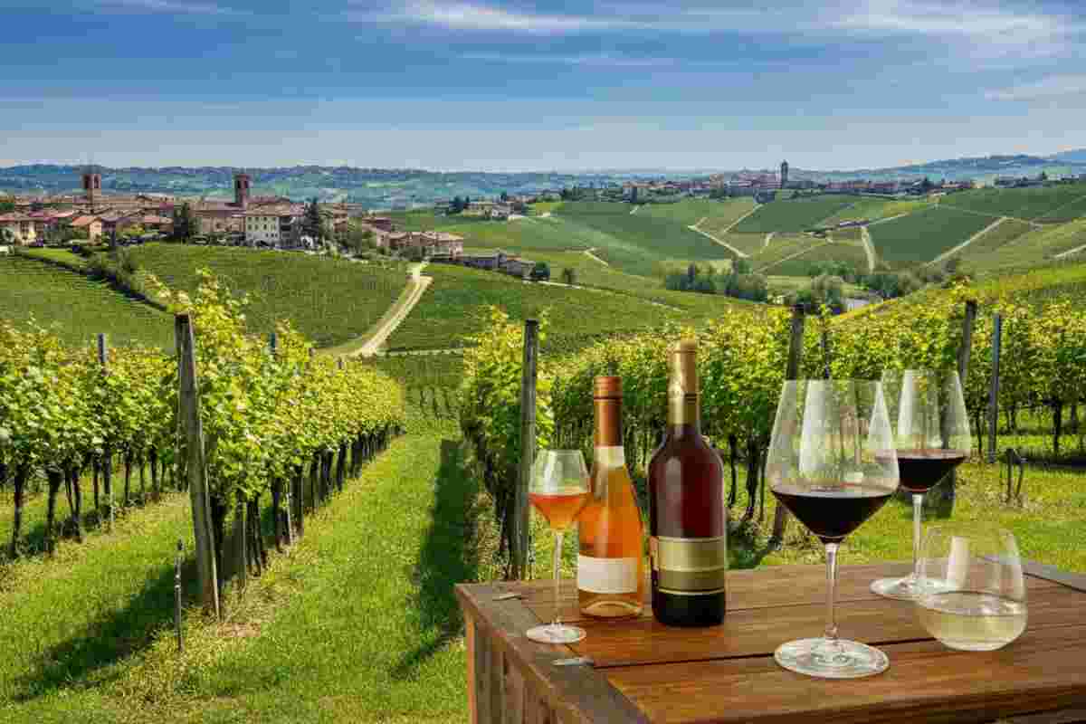Scoprire i tesori nascosti dei grandi terroir del Barolo