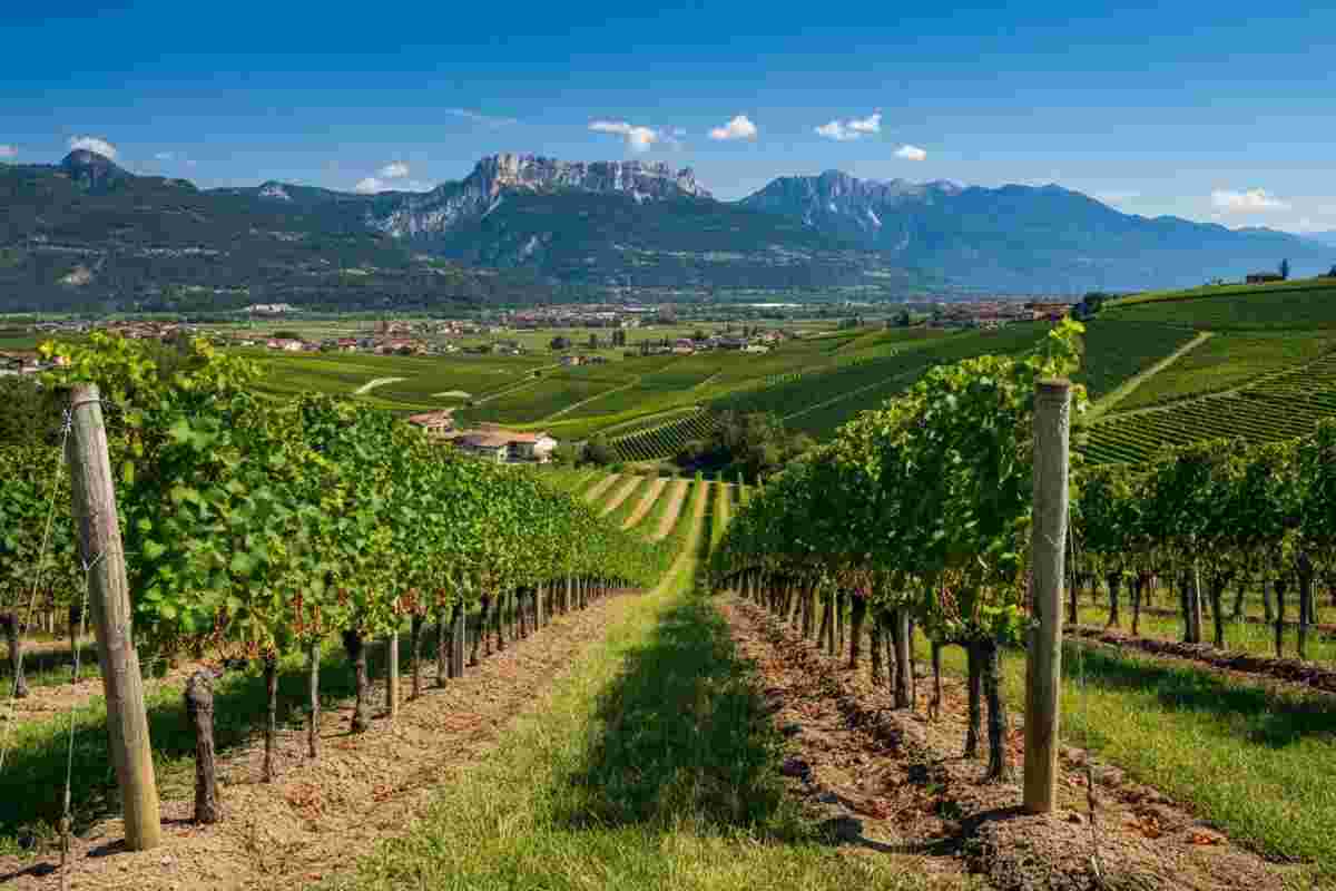 Scoprire il Trento Doc: un viaggio attraverso la degustazione di bollicine uniche