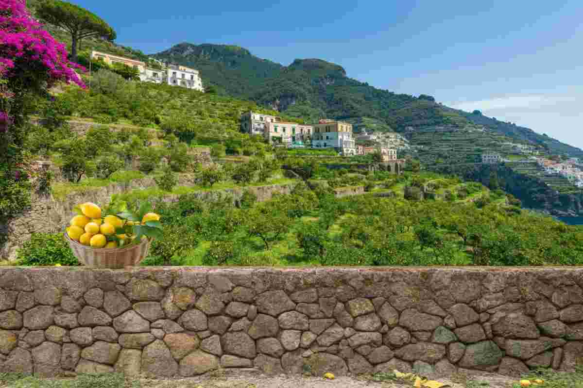 Scoprire le limonaie di Amalfi: un patrimonio agricolo tra i paesaggi tutelati dalla Fao
