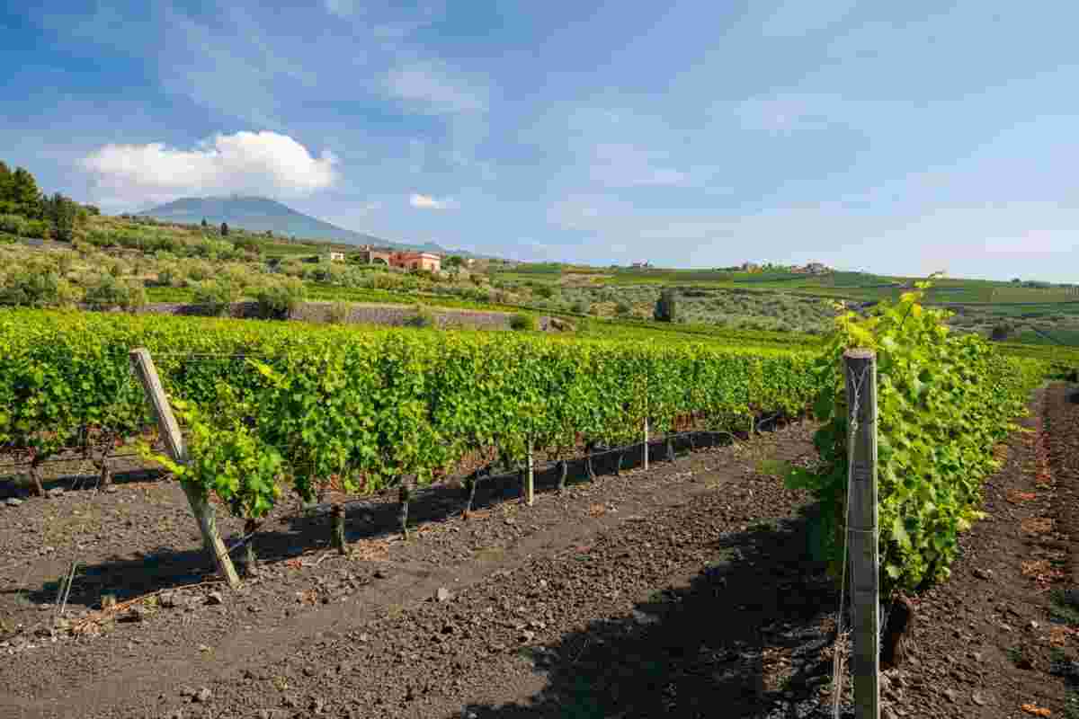 Serafica: un viaggio nella biodiversità dell'Etna versante Sud