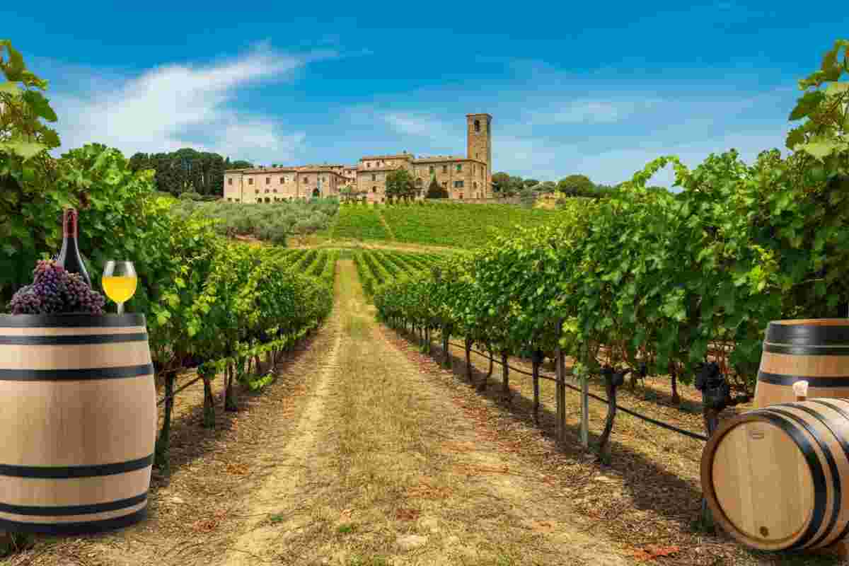 Tenuta Ulisse: la nuova era di Montevetrano, il tesoro dell'enologia campana