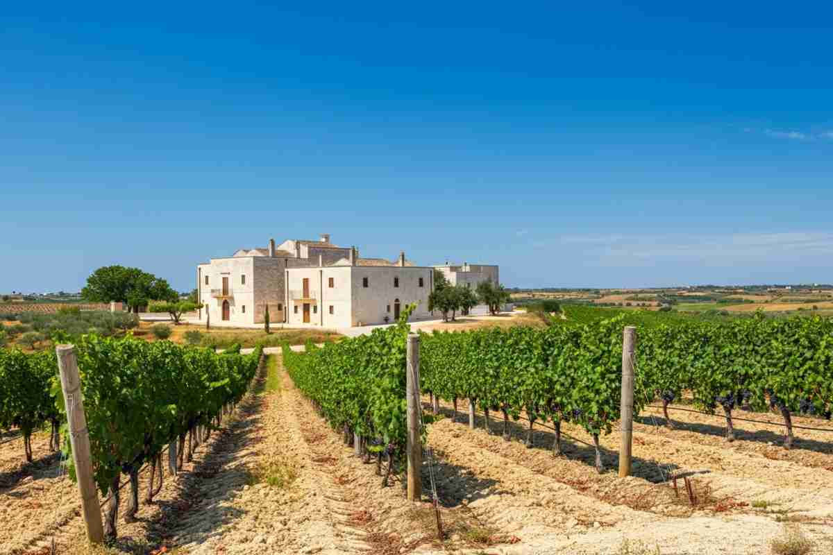 Tommasi Family espande il suo impero vinicolo con l'acquisto di Tenuta Eméra e Cantina Moros in Puglia