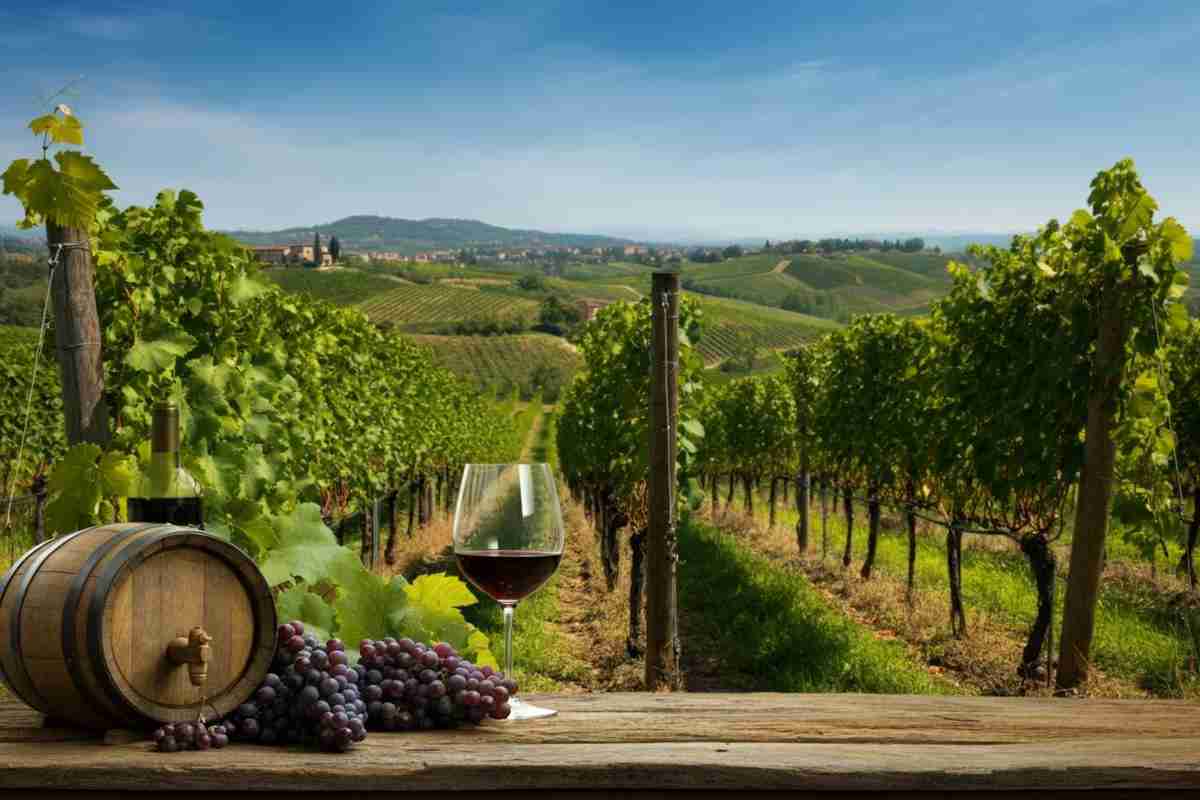 UE-Mercosur: un nuovo orizzonte per il vino italiano