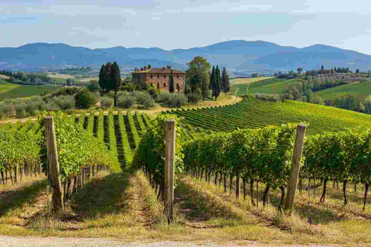 Valdarno di Sopra: un connubio tra modernità e sostenibilità