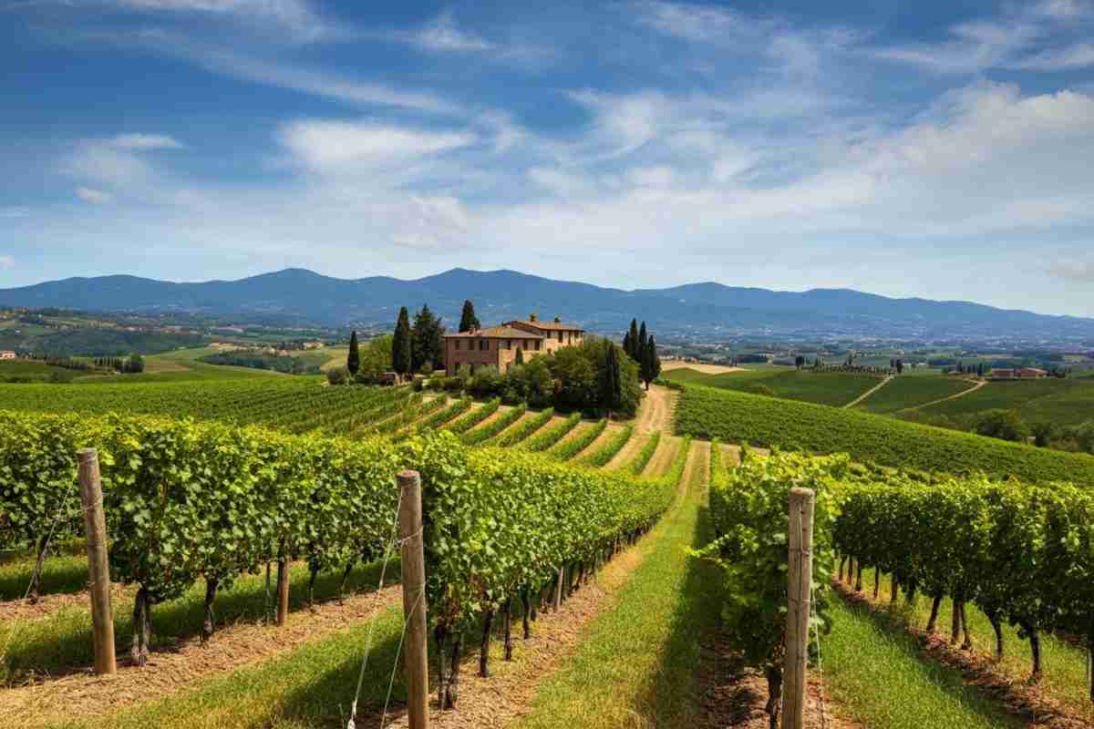 Valdarno di Sopra: un mix di modernità e sostenibilità