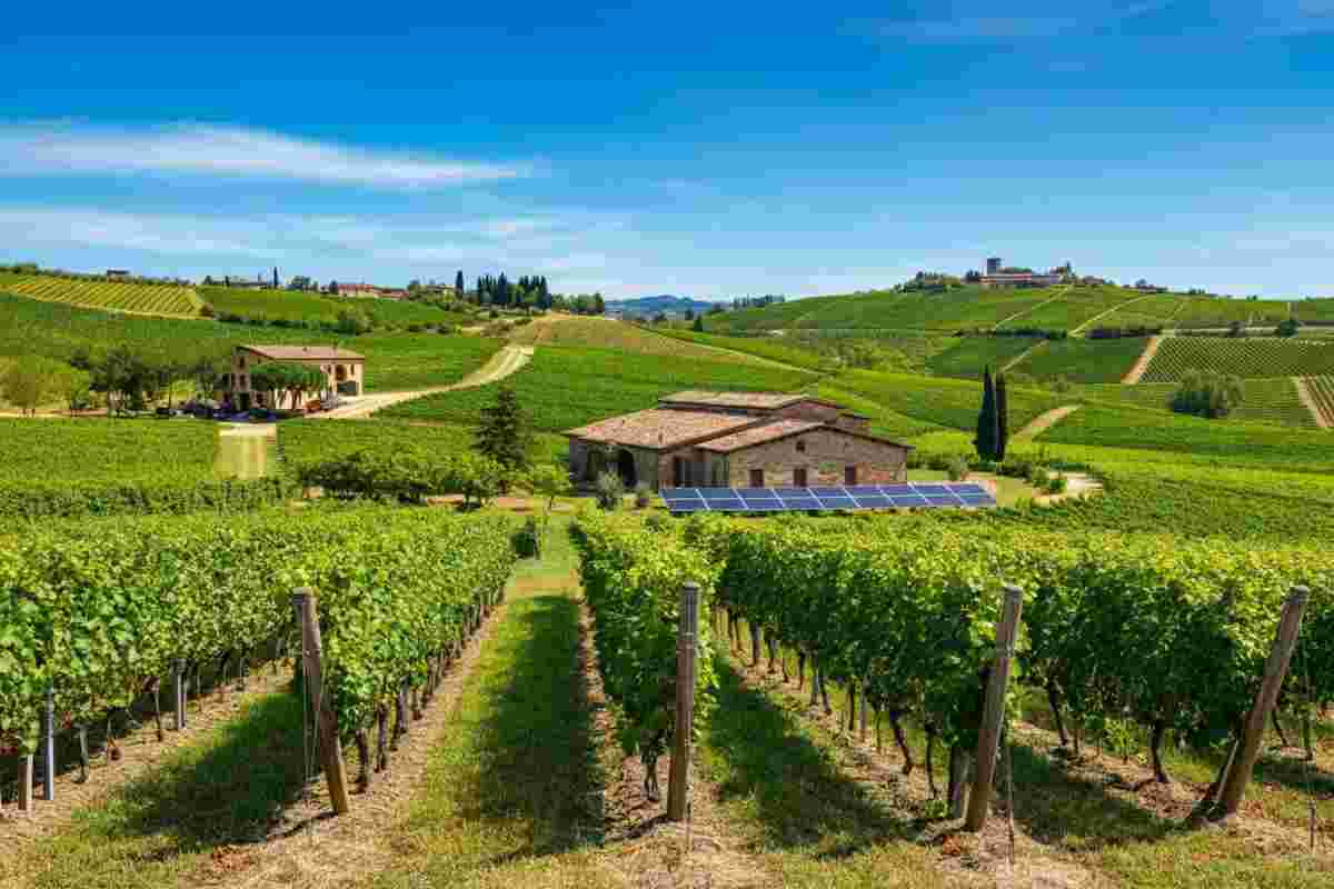 Valpolicella Ripasso DOC trionfa al concorso Verona Wine Top